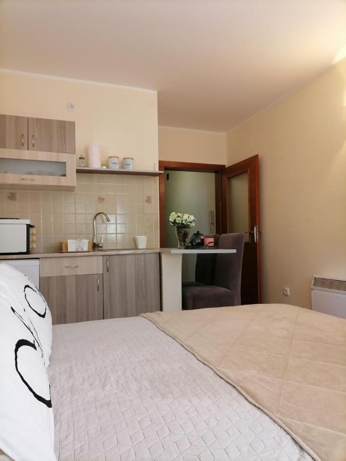 Studio Dunja Vrnjačka Banja Exterior foto