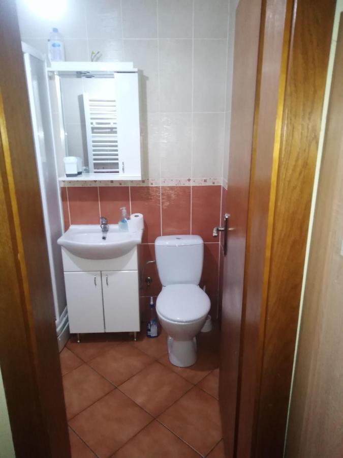 Studio Dunja Vrnjačka Banja Exterior foto